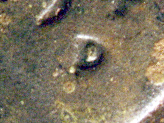 1946-D-Lincoln-Wheat-Cent-1mm-001